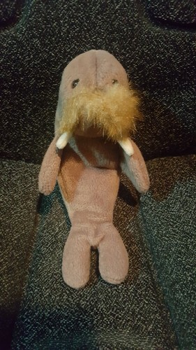 Ty Beanie Babies Jolly Walrus 1996 Retired PE Pellets - Foto 1 di 5