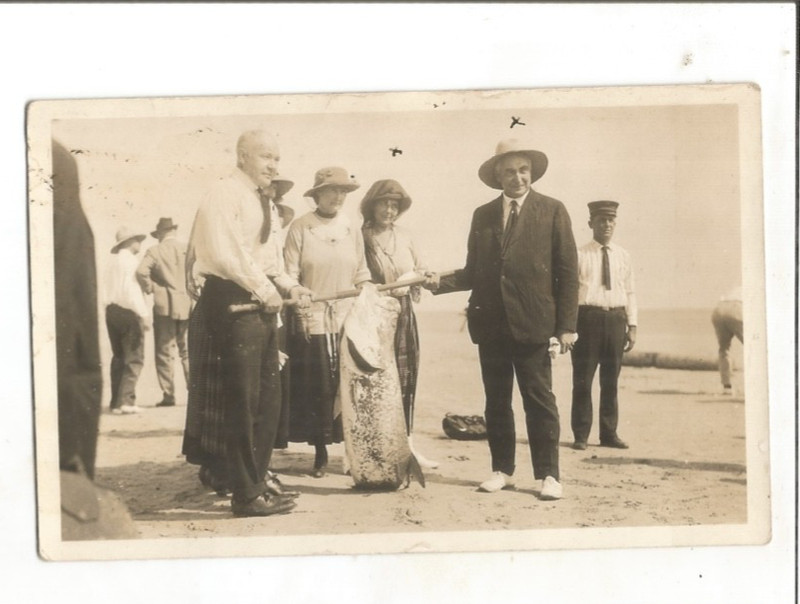 RPPC ALAMO TEXAS PRESIDENT ELECT HARDING POINT ISABEL TARPON REAL PHOTO POSTCARD