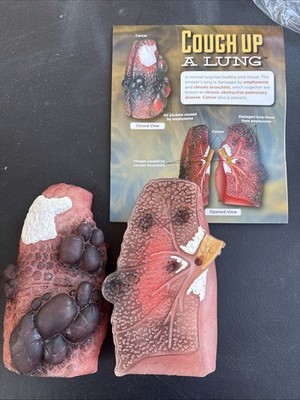 Health EDCO Cough Up A Lung Educational Model 2019 Pre-Owned