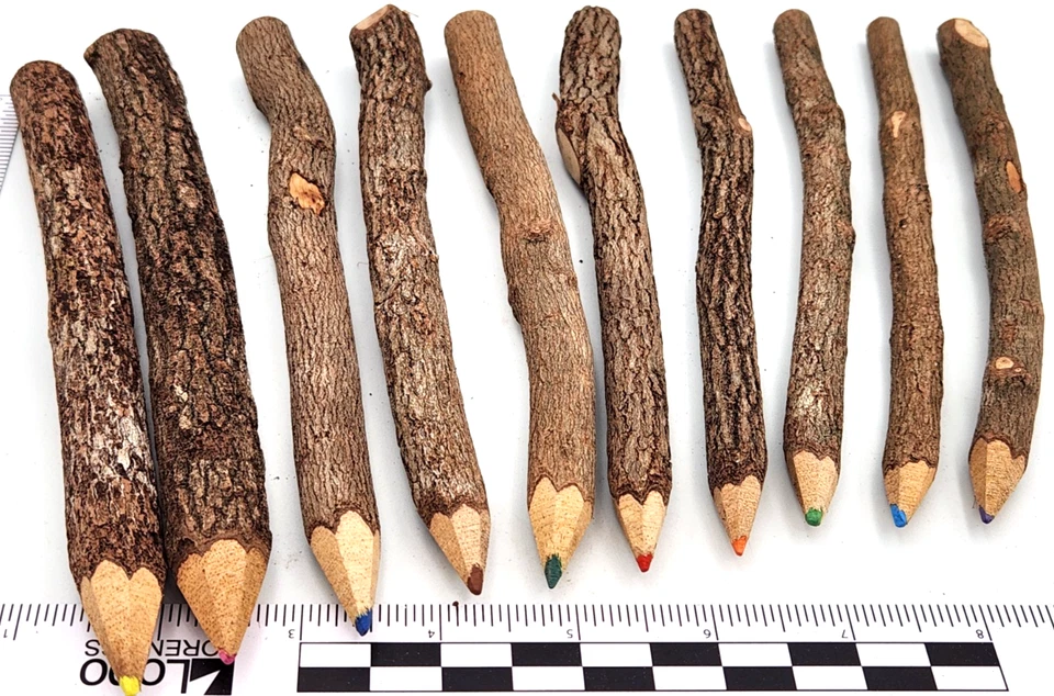 19 Twig Pencils & Cup Wooden Colored Graphite Pencils Homeschool or Reenactors - Image 3 of 4