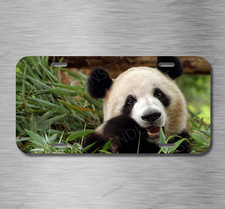 Panda Bear Chinese Bamboo Endangered Species License Plate Front Auto Tag Panda Bear Chinese Bamboo Endangered Species License Plate Front Auto Tag