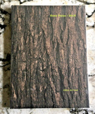 Roxy Paine Bluff by Tom Eccles First 1st Edition New Sealed 2003