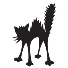 Scared Cat Kitten - Vinyl Decal Sticker - Multiple Color Sizes - ebn813