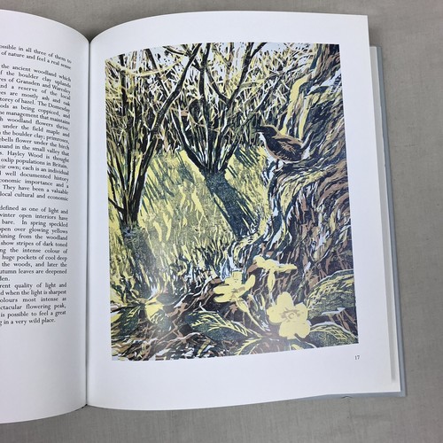 In a New Light Hardback Book by Bruce Pearson 1st First Edition 2003 NEW - Picture 11 of 24