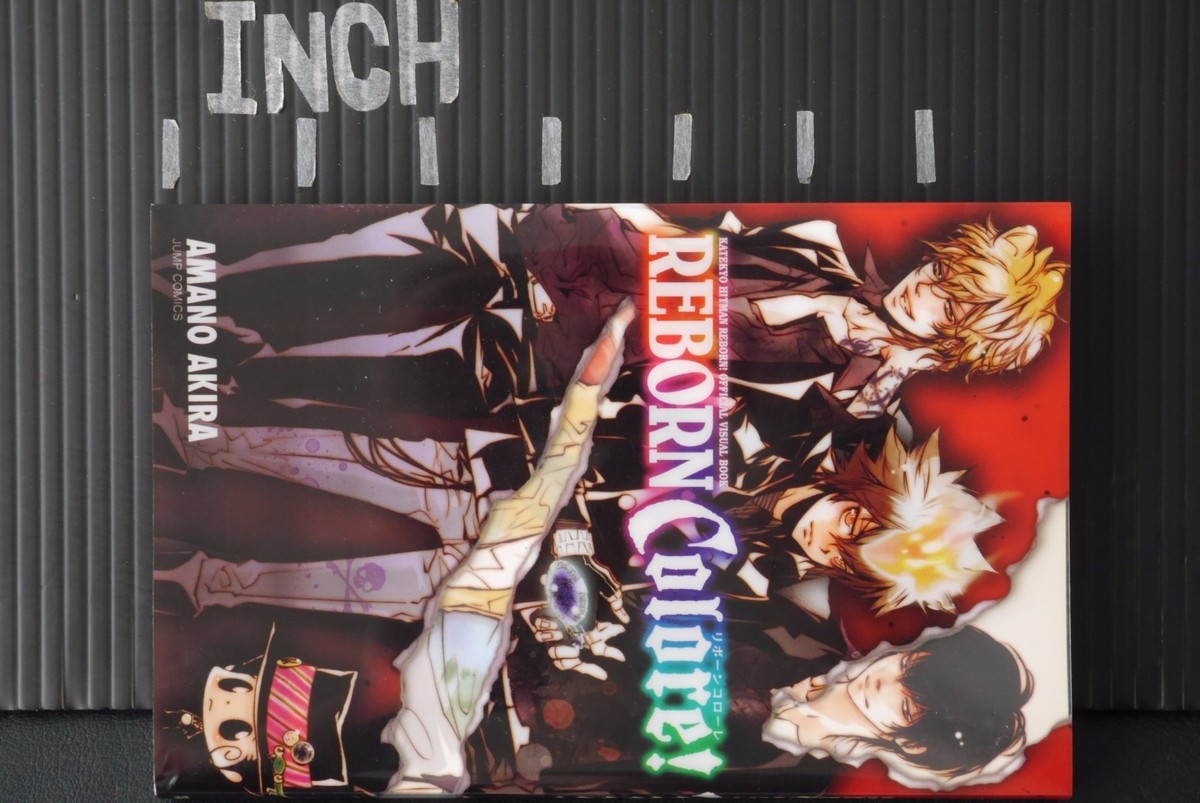 Shueisha Reborn Colore Akira Amano Official Visual Book 192P Art