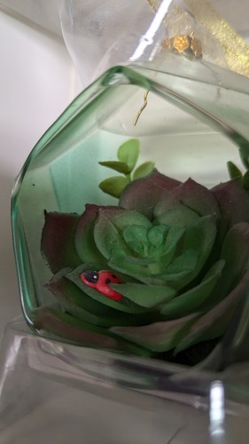 Hallmark Signature Christmas Ornament Succulent Terrarium, Glass - Picture 5 of 7
