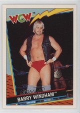 1992 Topps WCW UK Barry Windham #8 0w6