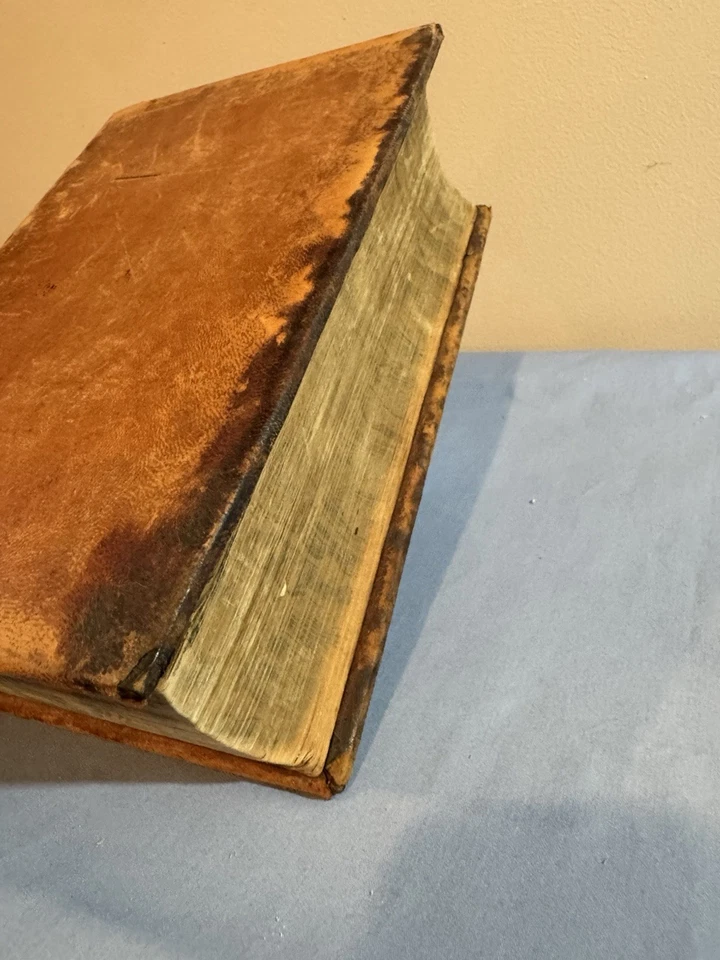Antique Full Leather XL Book 1856 “A Copious And Critical Latin-English Lexicon” - Image 3 of 4