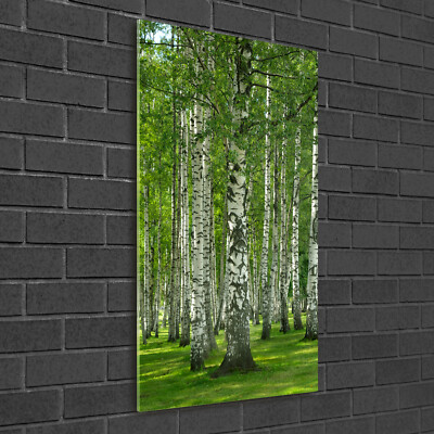 Wandbild Kunst-Druck auf Hart-Glas hochkant 50x100 Birkenwald