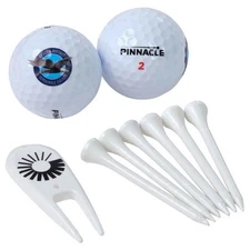 Pratt & Whitney Dependable Engines PW Birdie Deluxe Pack