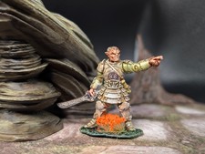 Well painted muscular elf warrior d d fantasy miniature NLM