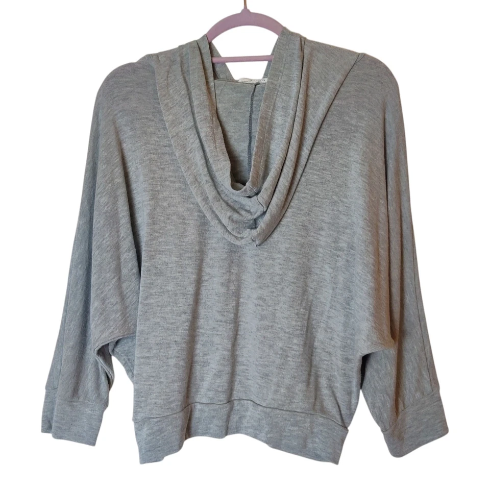 Sudadera con Capucha Poetry Triumph Deletreada Gráfica Gris Recortada Relajada Mediana Foto 2 de 4