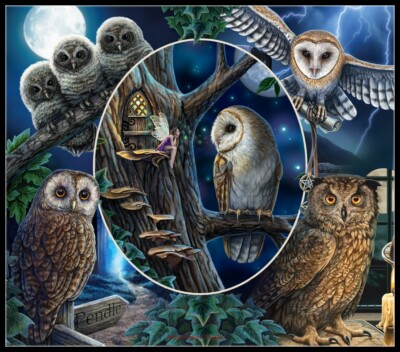 Magical Owl Montage - DIY Chart Counted Cross Stitch Patterns Needlework DMC 