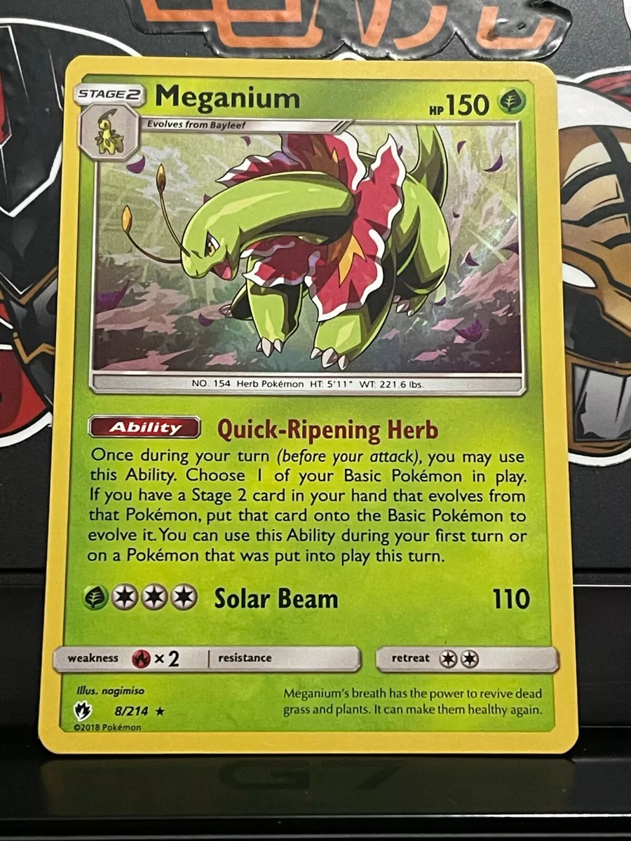 Portal De Pokemon Online: Meganium