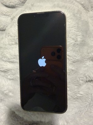  Apple iPhone 13 Pro Max 1TB Gold-UNLOCKED 