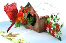Cardinal Christmas Cards, Pop Up 6x8 in Holiday 