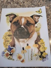 IRON ON TRANSFERS PIT BULL NICE COLORS