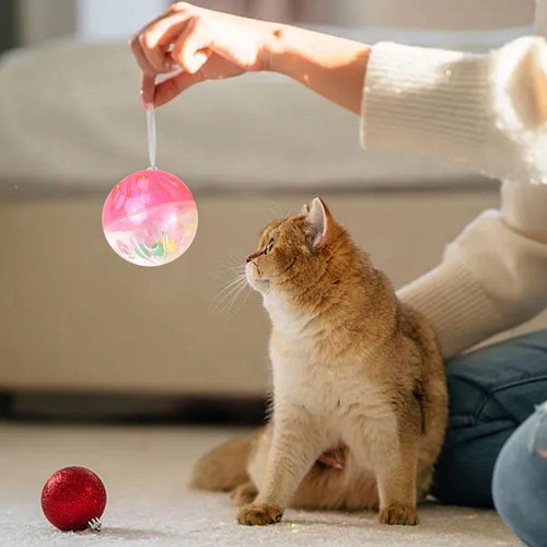 10pcs Hollow Cat Toy Balls with Bell - Interactive Pet For Indoor GX Cats K SP - Picture 5 of 13