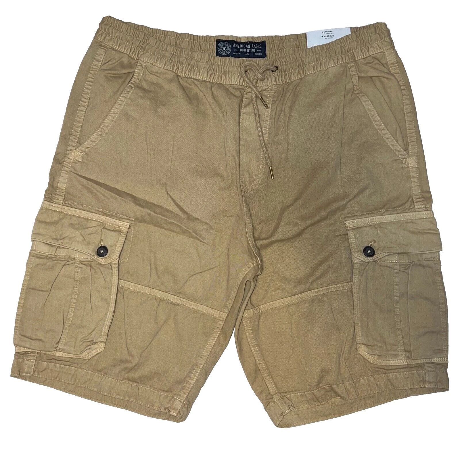 American Eagle Outfitters Polyester Shorts for Men