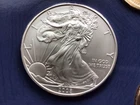 U.S. Mint 2008 American Silver Eagle $1 1 oz .999 Fine Silver Coin Uncertified