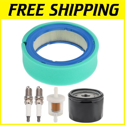 BS 392642 Air Filter & 492932S Oil Filter Maintenance Kit
