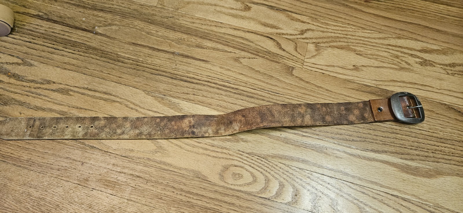 Picture 5 of 6