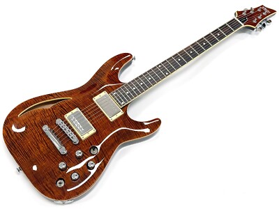 SCHECTER ( シェクター ) C-1 E/A CAT'S EYE Schecter C-1 E/A Classic Cats Eye – nafiriguitar.com