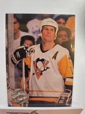 1991-92 Pro Set Platinum - Bob Errey #215 Pittsburgh Penguins 