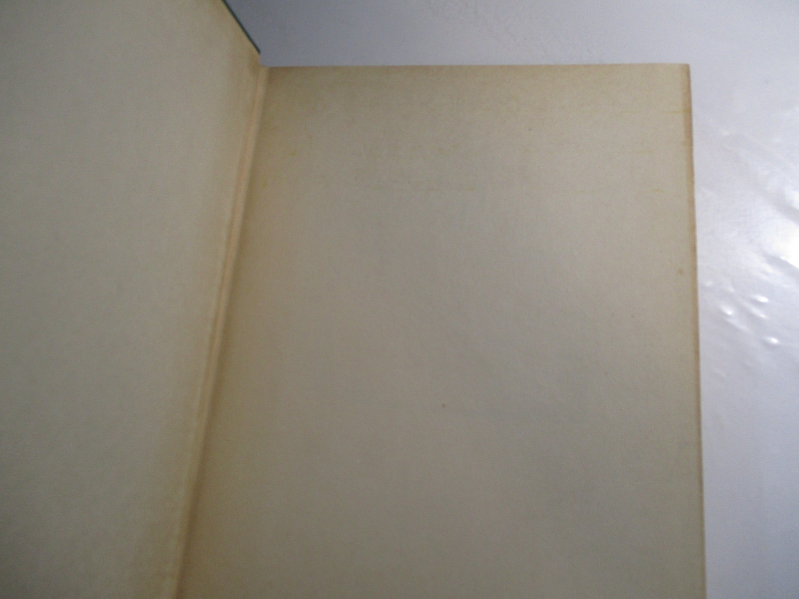 Bild 5 von 12