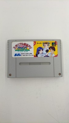 SETA Super Real Mahjong PV Paradise Famicom