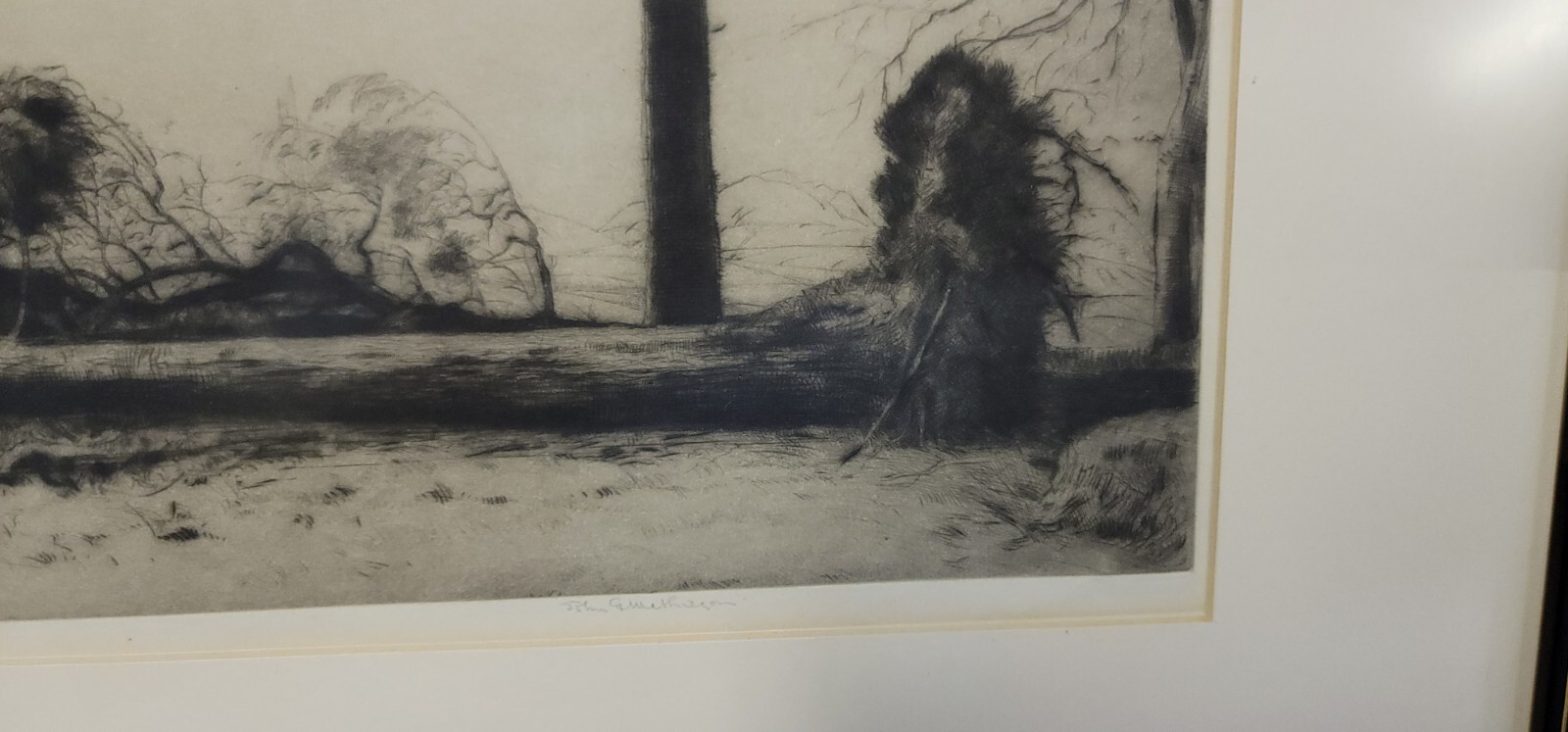 Picture 5 of 8