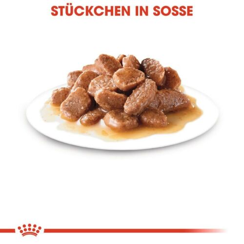 ROYAL CANIN AGEING 12+ in Soße Nassfutter für ältere Katzen 12 x 85 g - Bild 3 von 6