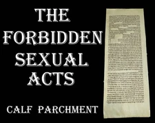 TORAH SCROLL BIBLE MANUSCRIPT FRAGMENT/LEAF 200 YRS Germany Leviticus 18:1-19:15