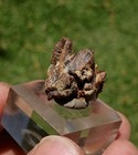8.1 Gram Rare Parisite Crystal From Snowbird Mine Montana — photo 2