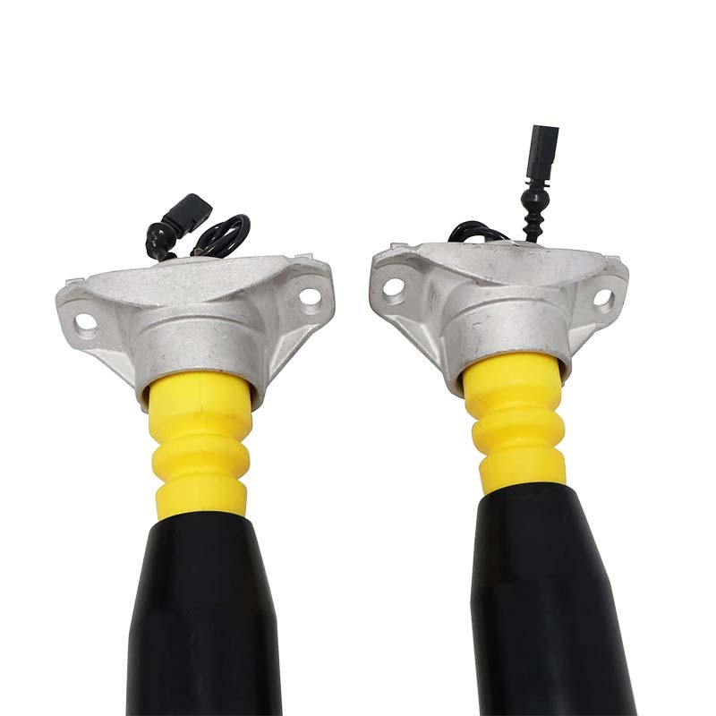 Pair Rear Shock Struts Fit Audi Q7 SQ7 Q8 2016-22 Lamborghini Urus 2018-22
