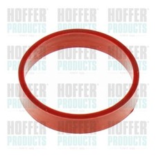 GUARNIZIONE PER COLLETTORE ASPIRAZIONE BMW 118 D (E87) 320 D (E90)