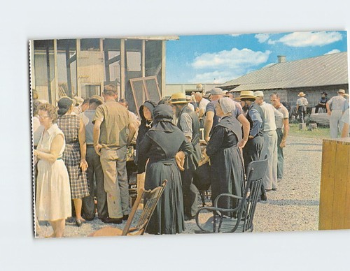 Postcard Public Auction Amish Country Pennsylvania USA