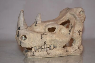 FMR Vivarium Nashorn detaillierte Schädel Ornament 16 x 10 x 11 cm Reptilien Echsen