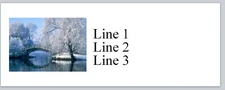 Personalized Address labels Winter Scenery  (jx 128)