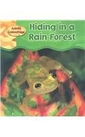 Hiding in a Rain Forest (Animal Camouflage)