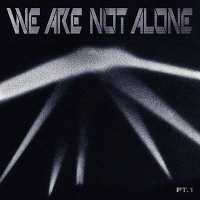 Various Artists We Are Not Alone: Pt. 1 (Schallplatte) 12'' Album