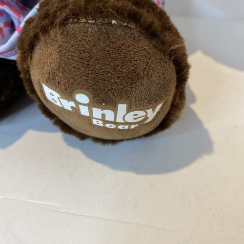 Peluche Build-A-Bear Great Wolf Lodge Brinley Bear 16"" 2019 nuevo con etiquetas - Imagen 3 de 7