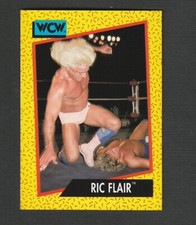 1991 Impel WCW Ric Flair #41