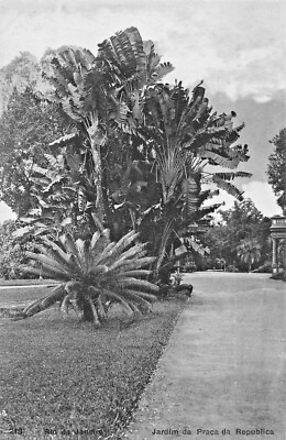 RIO de JANEIRO BRAZIL~JARDIN da PRACA da REPUBLICA RIBEIRO #214 PHOTO POSTCARD