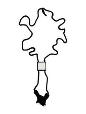 Lalique Beautiful Aréthuse Masque de Femme black case Pendant Necklace