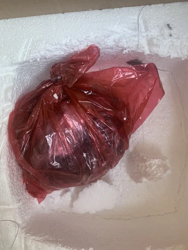 Quoizel (SNN1909K) Stonington Outdoor Pendant Lighting- 100w-Mystic Black - Picture 7 of 8