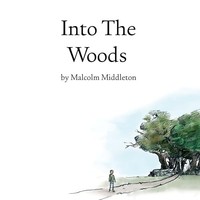 Malcolm Middleton - Into The Woods - Vinyl Record 12 Record - G1398Z