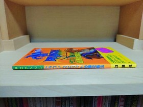 Dragon Spirit PC Engine Strategy Guide Complete Map Series 5 Good Condition