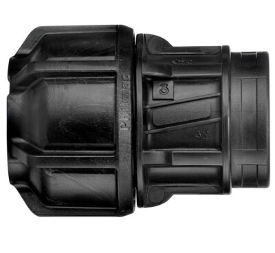 Philmac 32mm (1'') x 1'' BSP Buchse Eisen Verbinder / Joiner FI 9843