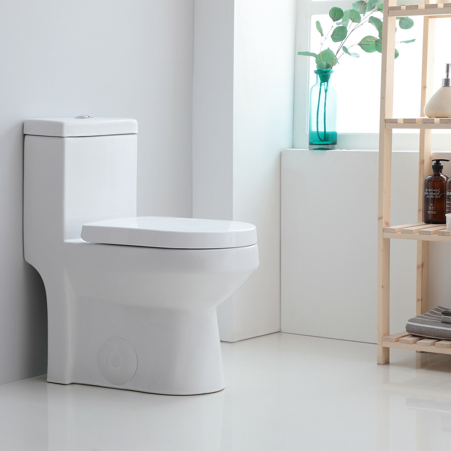 One Piece Toilet Bathroom Modern Compact 0.8/1.28 GPF Dual Flush With Soft Seat